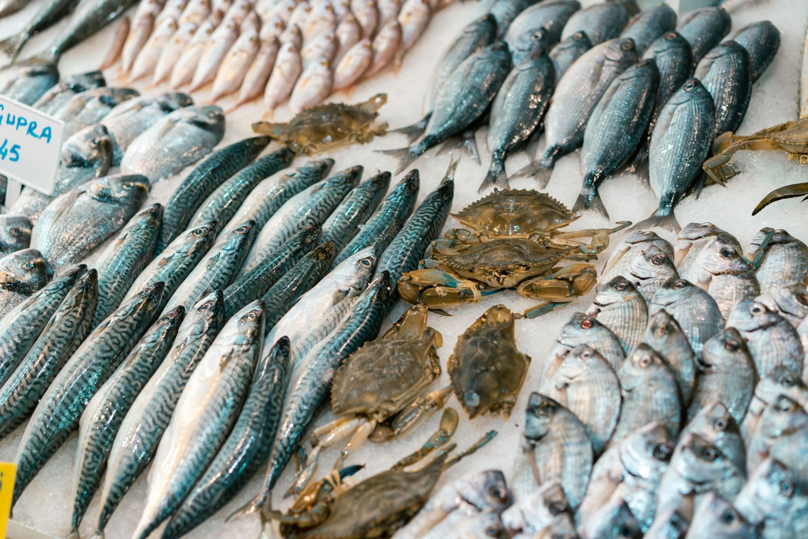 Various fish and crabs on ice at a fish market, showcasing freshness and variety.